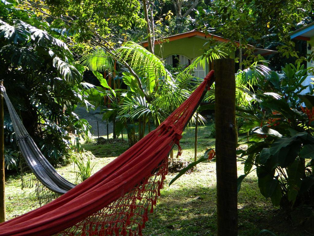 Bicho Do Mato Suites Guapimirim Exteriör bild