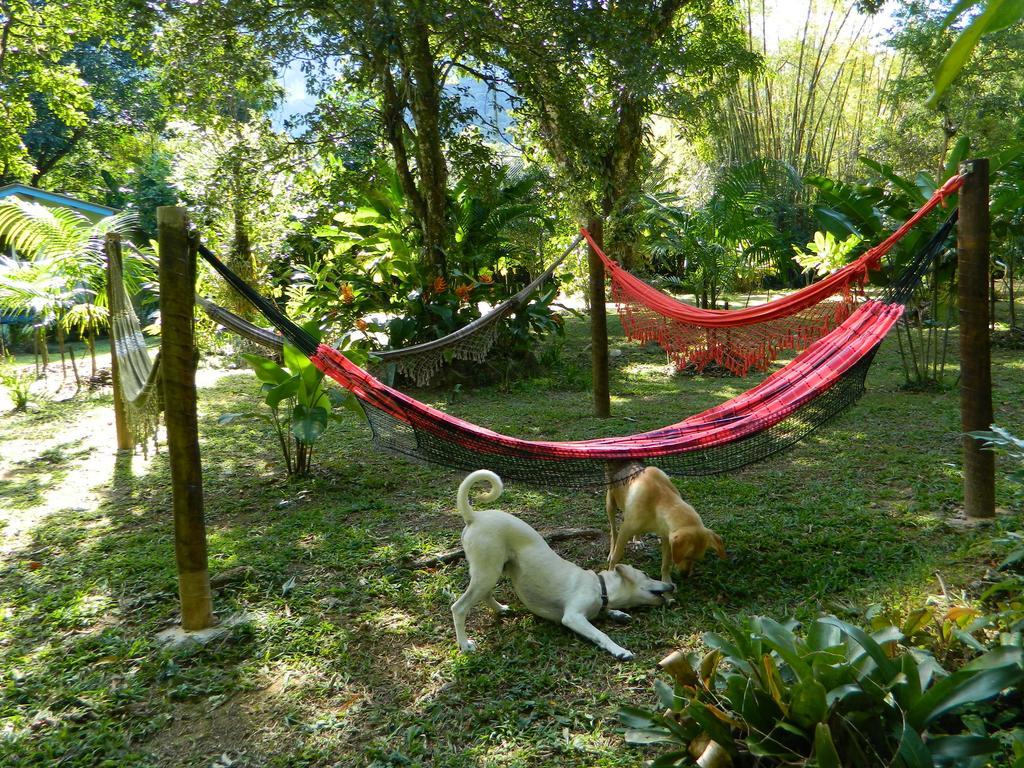 Bicho Do Mato Suites Guapimirim Exteriör bild