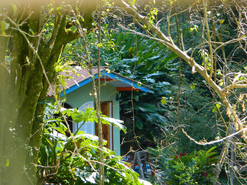 Bicho Do Mato Suites Guapimirim Exteriör bild