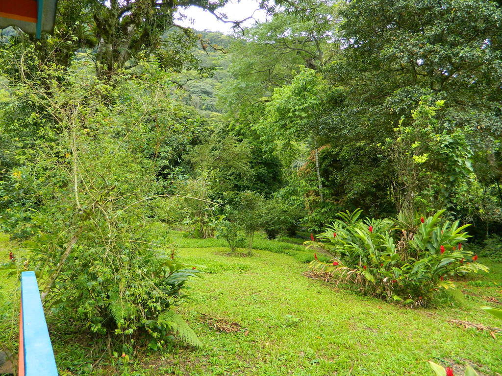 Bicho Do Mato Suites Guapimirim Exteriör bild