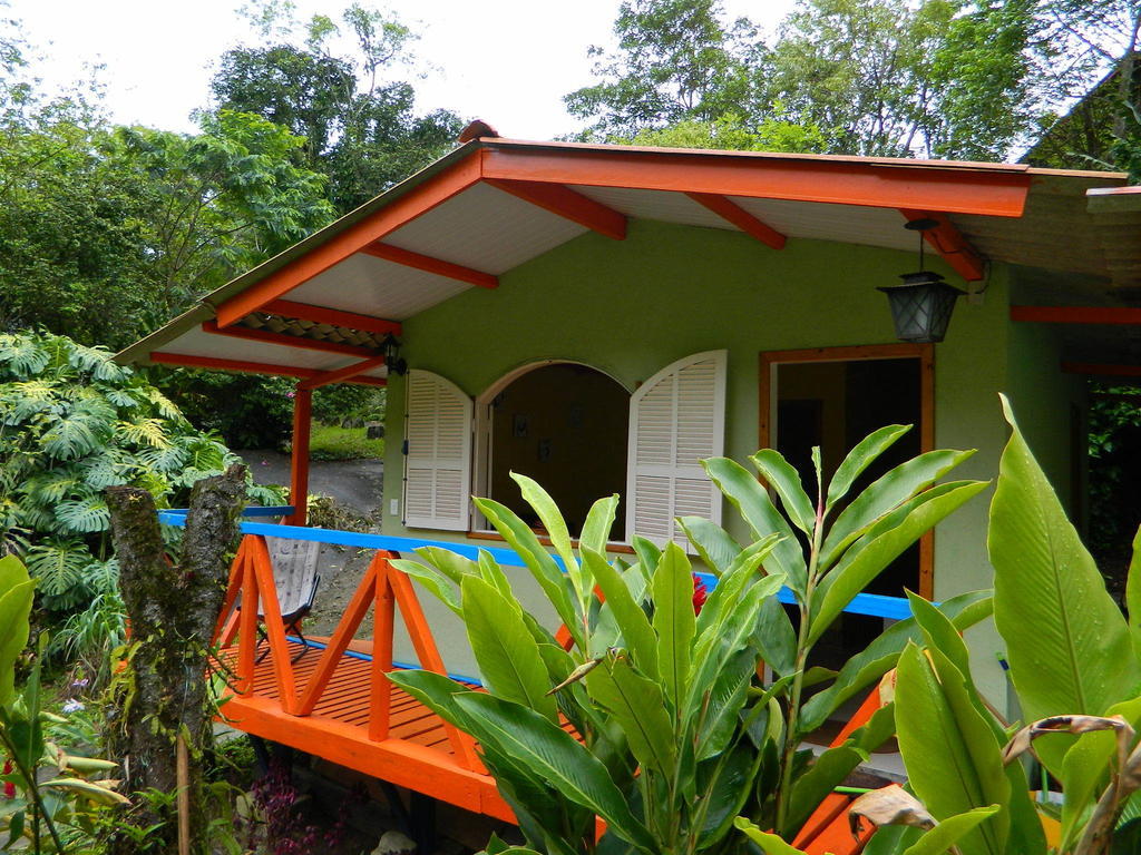 Bicho Do Mato Suites Guapimirim Exteriör bild